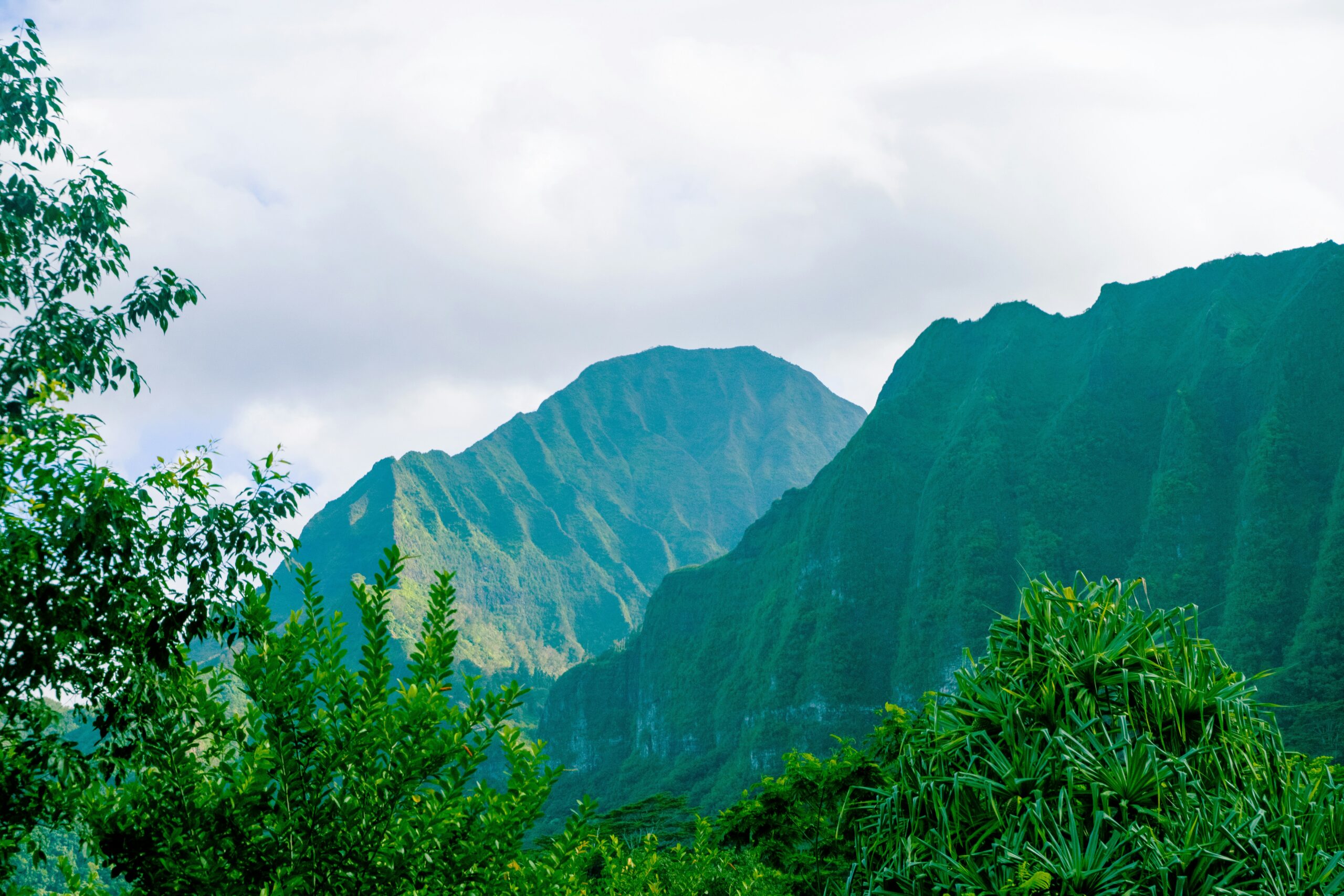 Oahu Business for sale Oahu Business for sale